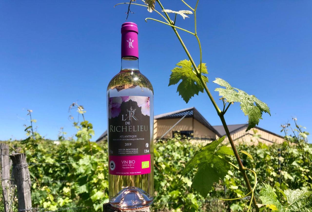 Chateau Richelieu Fronsac  Exterior photo