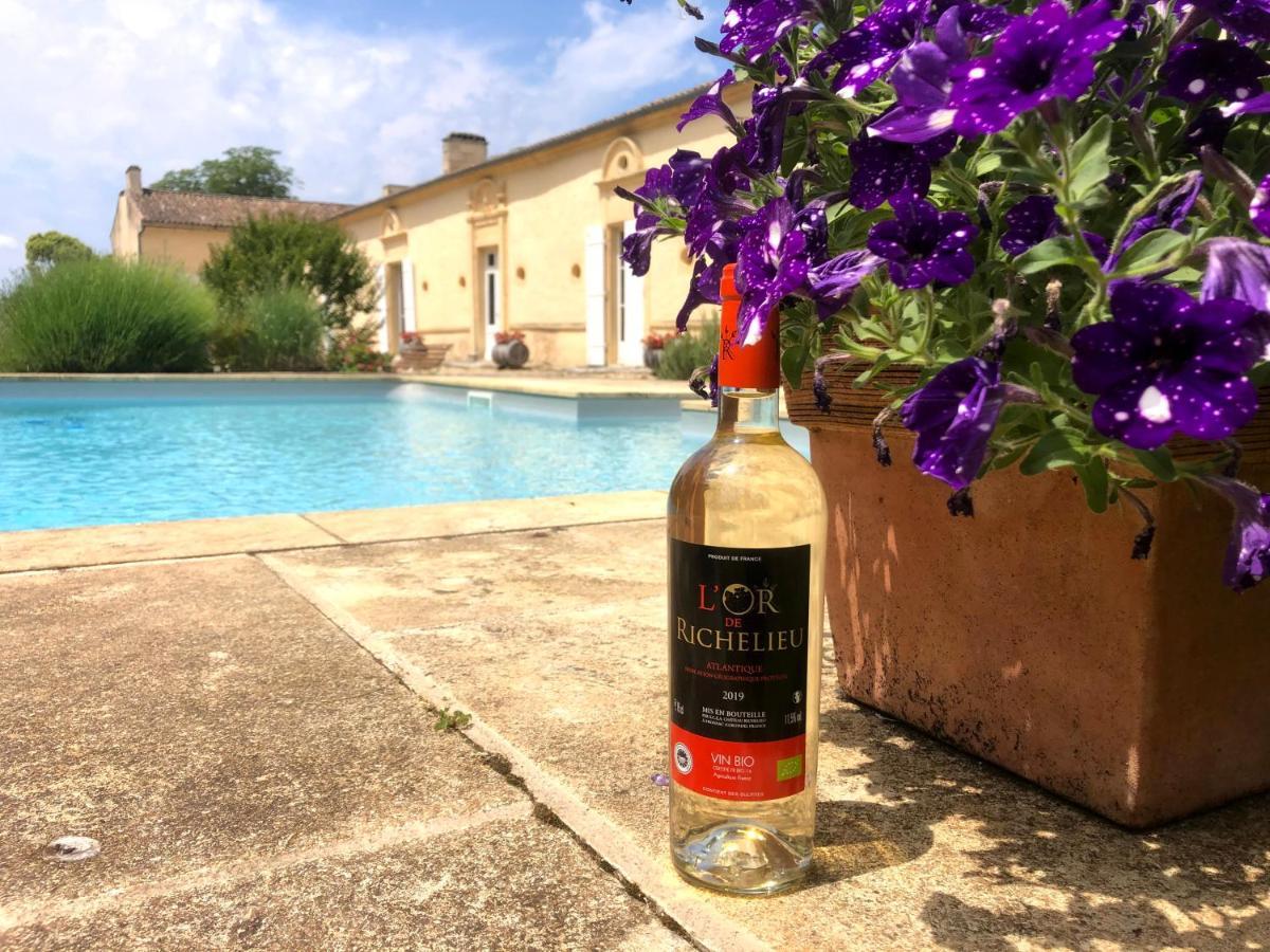 Chateau Richelieu Fronsac  Exterior photo