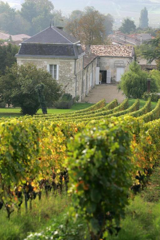 Chateau Richelieu Fronsac  Exterior photo